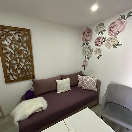 Apartment Senzor